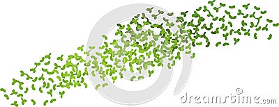 Green duckweed Vector Illustration